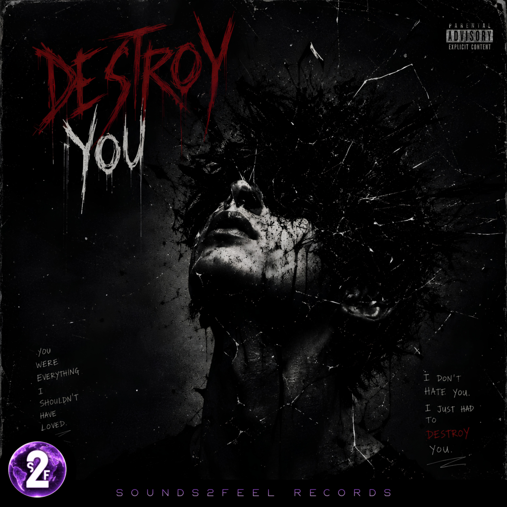 Artwork for Destroy You