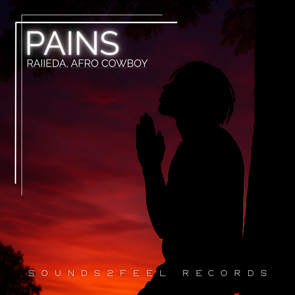 Artwork for Pains