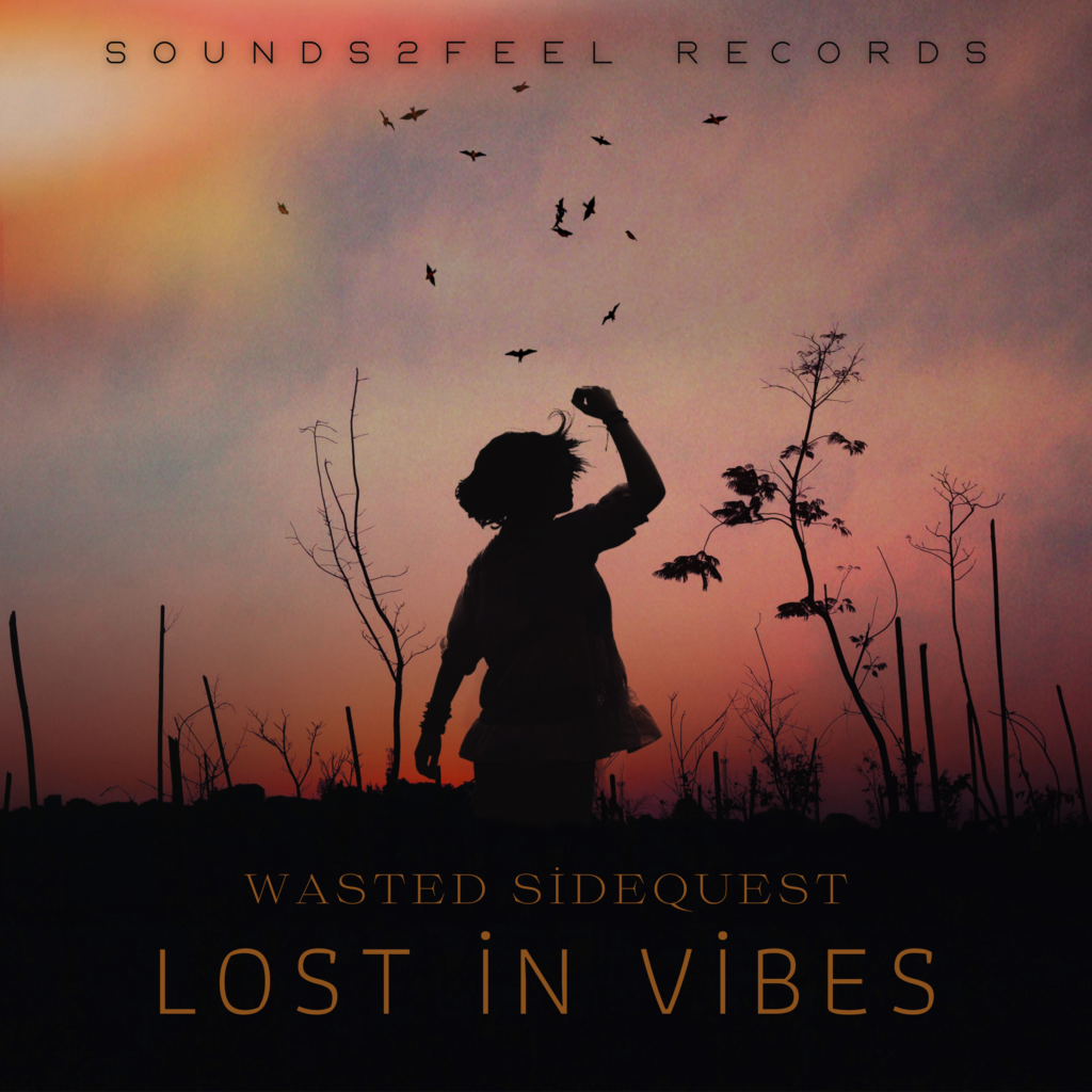 Artwork for Lost In Vibes