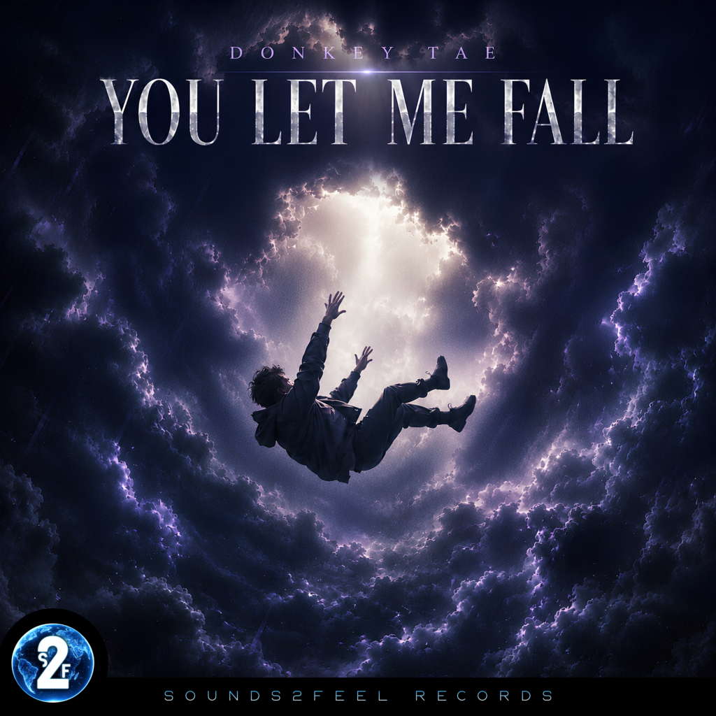 Artwork for You Let Me Fall