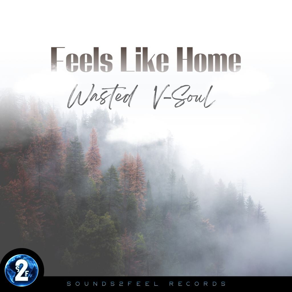 Artwork for Feels Like Home