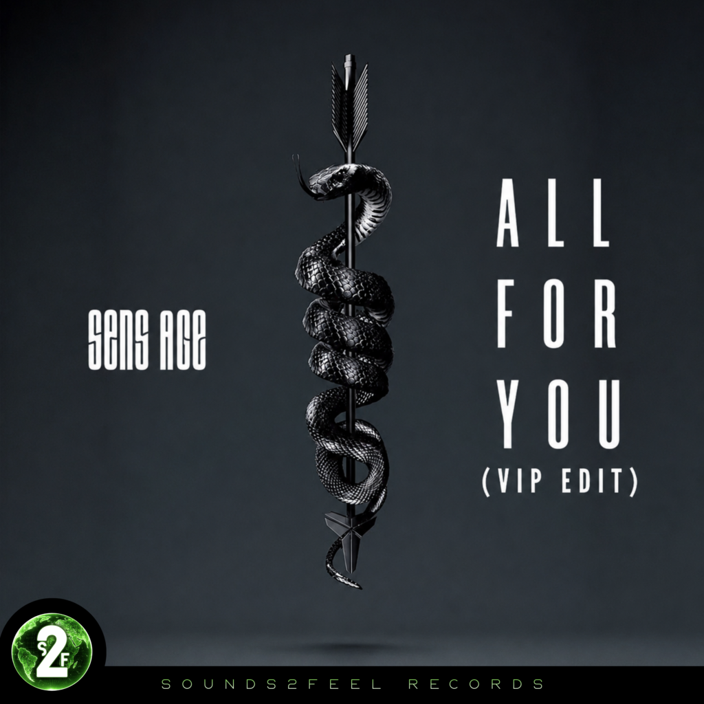 Artwork for All For You (VIP Edit)